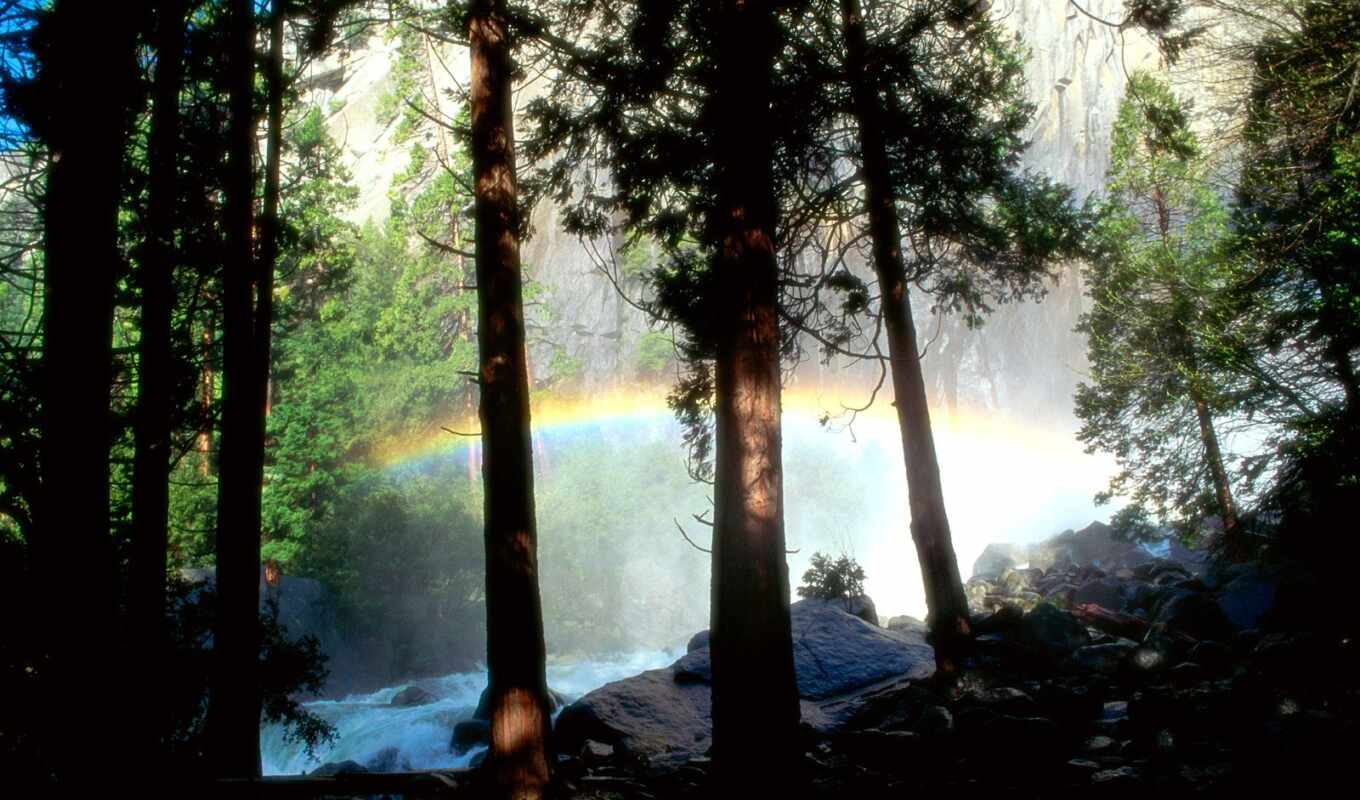 rainbow, website, to listen, the format, decoration, song, forest, arcoiris