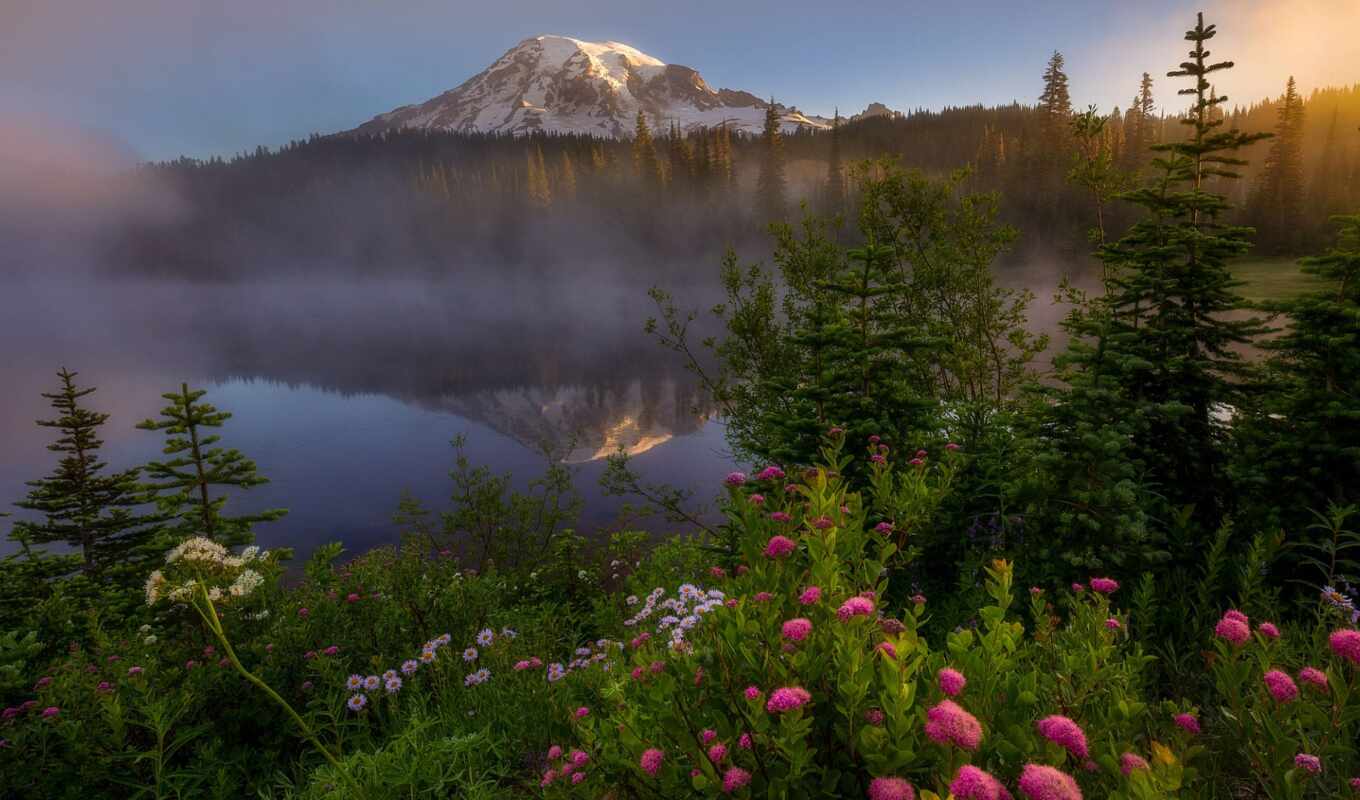 озеро, гора, туман, отражение, gora, снег, цветок, загрузить, узкий, хорошії, fore