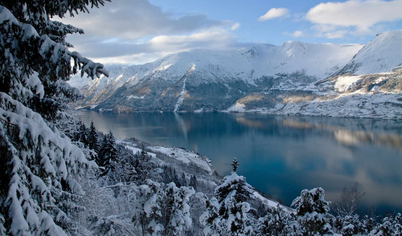 природа, есть, дерево, winter, лес, гора, landscape, норвегия, fjord, norwegian