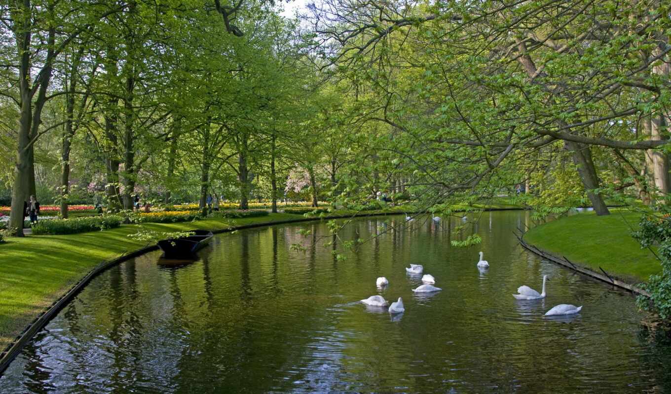 nature, desktop, background, Netherlands, screen, keukenhof, smooth, park