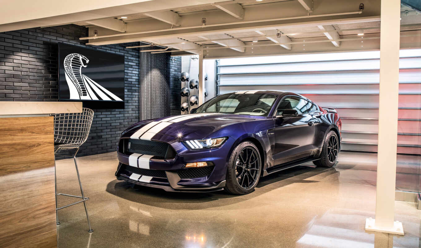 car, ford, mustang, shelby, gt350r
