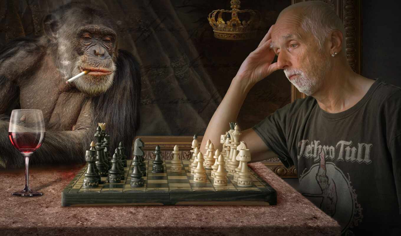 art, creative, play, painting, buy, a monkey, poster, oil, chess, canvas