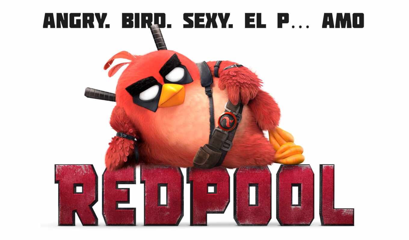 red, birds, marvel, кино, angry, deadpool, фильм
