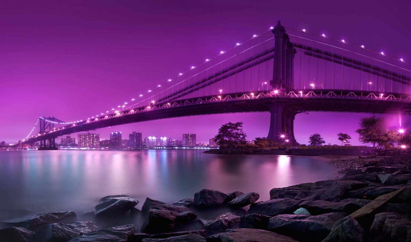 purple, anime, мост, нью, york, скача, sana, manhettnyi