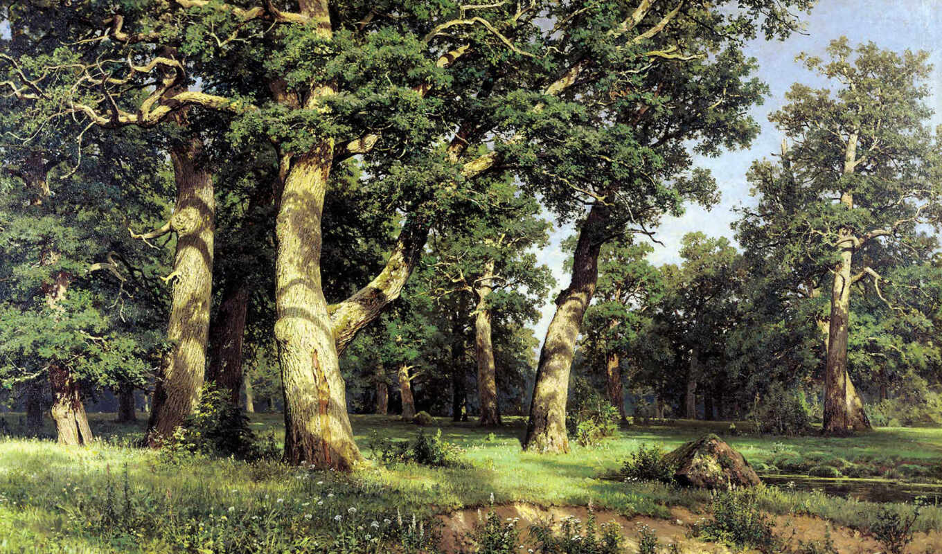 forest, interesting, picture, shushkin, reproduction, hold, groves, butter, ivan, oak