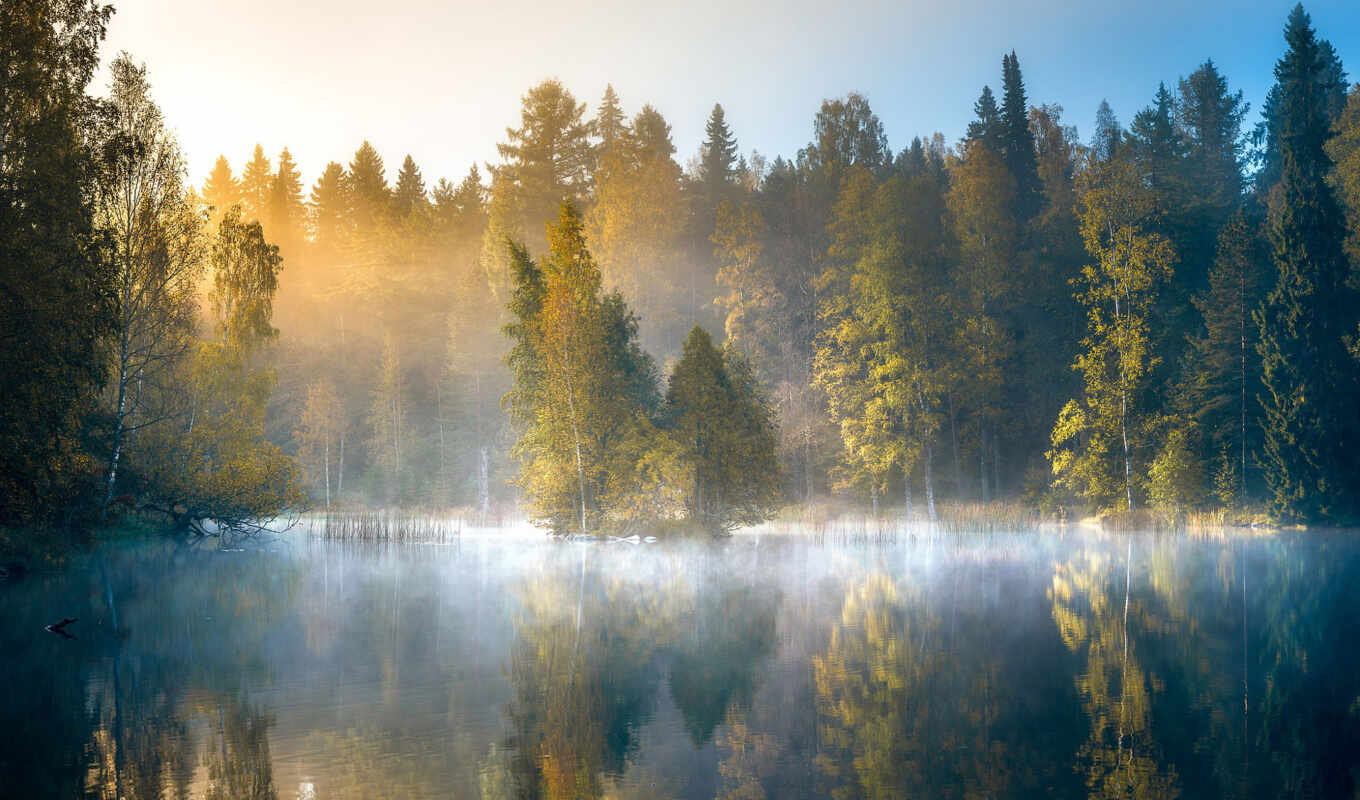 lake, nature, sunrise, forest, autumn, Finland, lauri