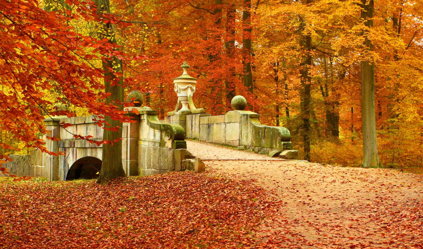 природа, дерево, лес, мост, landscape, осень