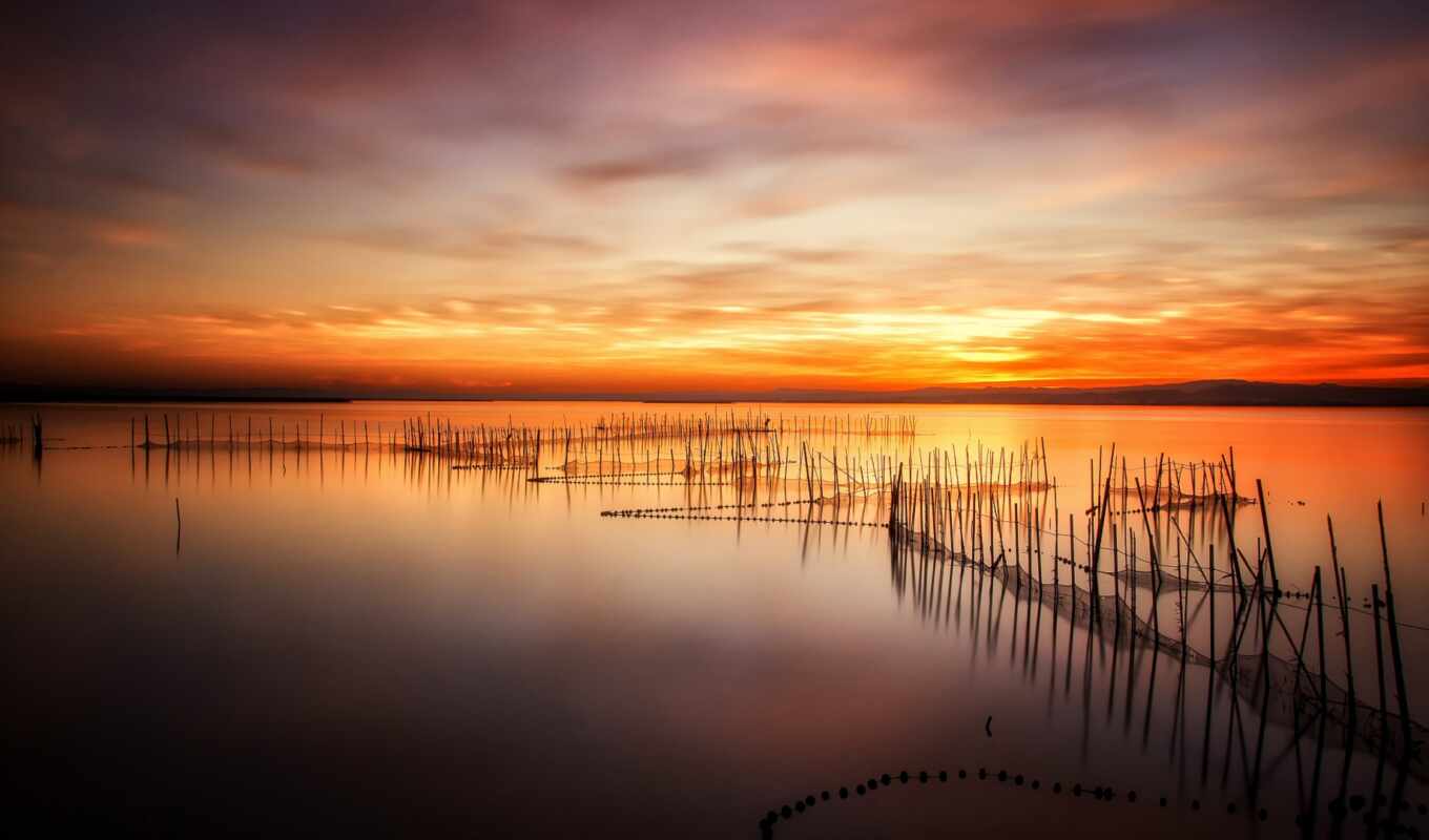 lake, sunset, fish, horizon