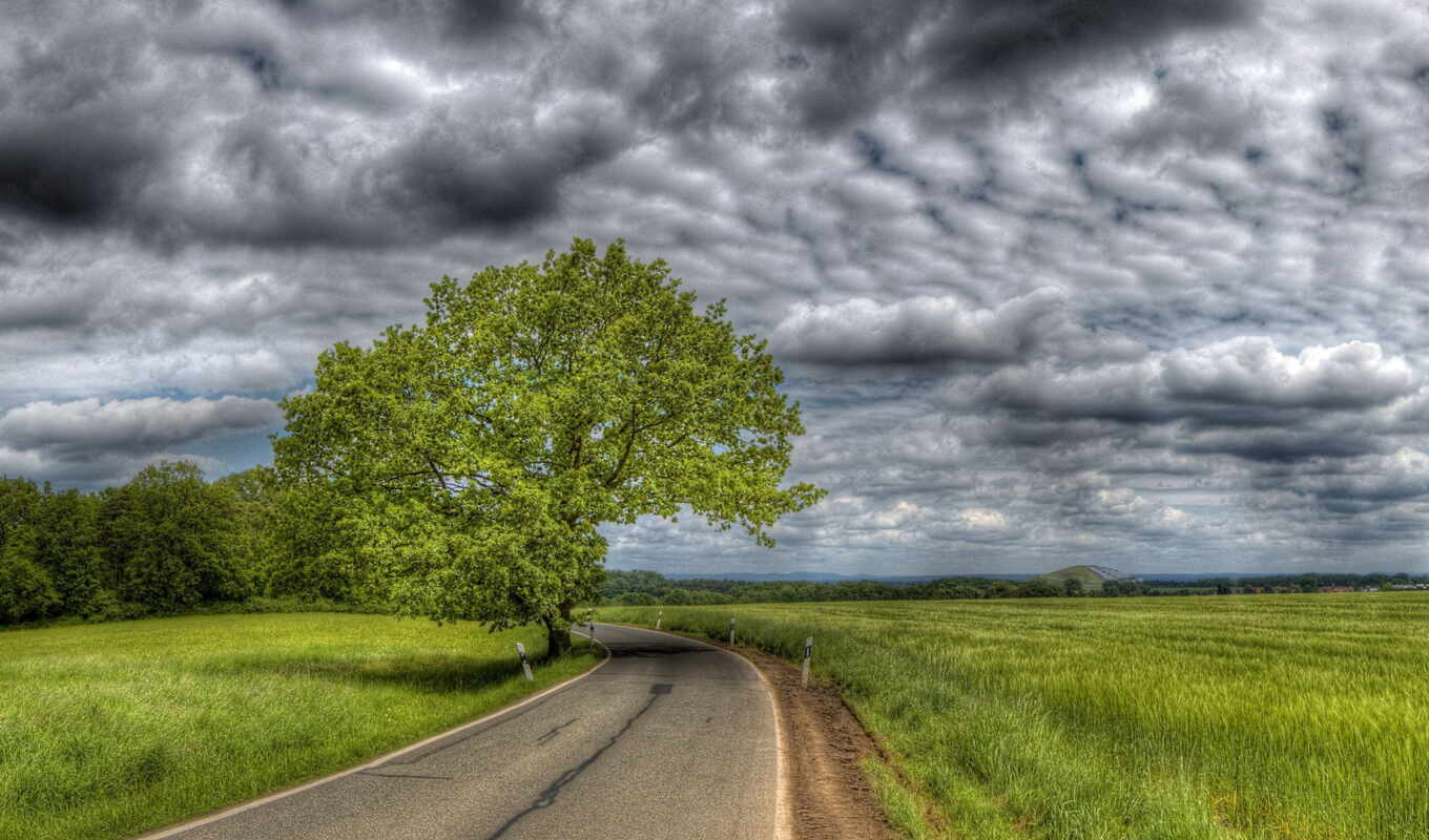 nature, sky, mobile, background, tree, road, field, tablet, country, expensive, feeling like