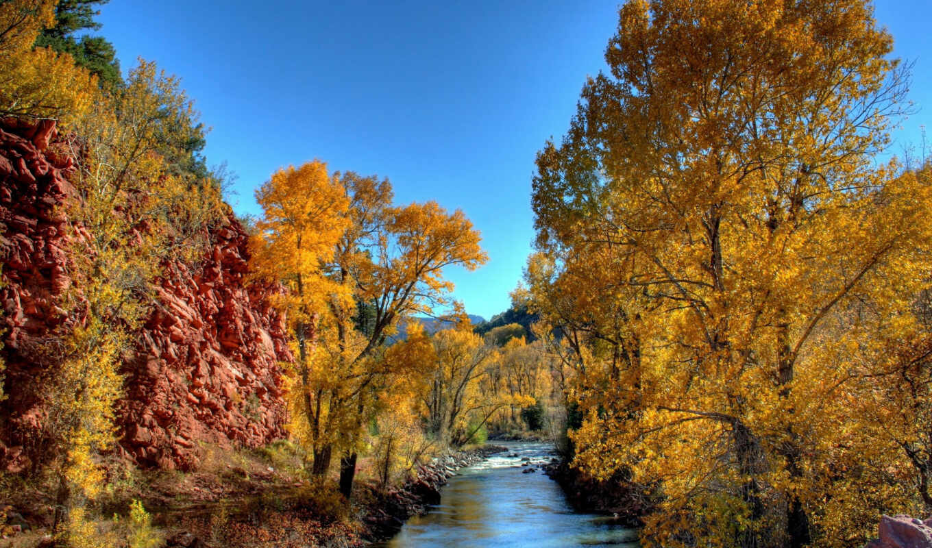осень, осенние, trees, ручей, солнечные, листочки, лестной