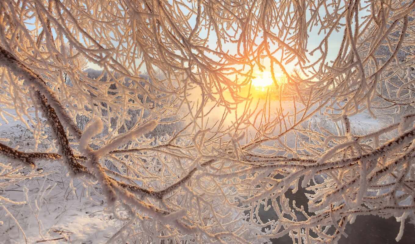 nature, high, frost, snow, sunrise, winter, branch, morning, river, iphone, screensaver