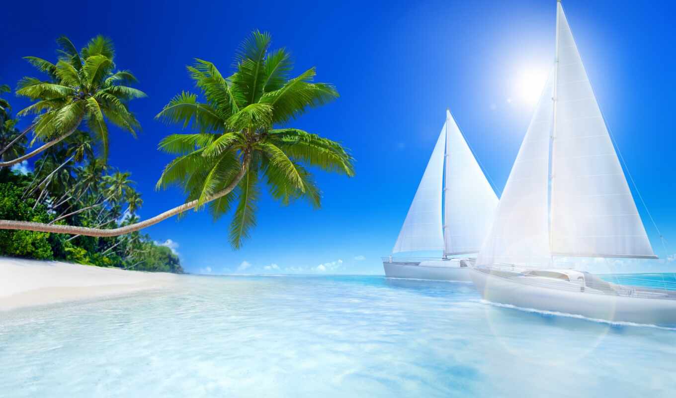 beach, sea, palm, tropic, abrakadabra
