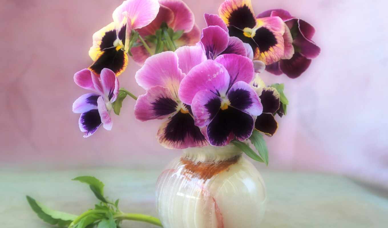 flowers, still, bouquet, vase, softness, violets