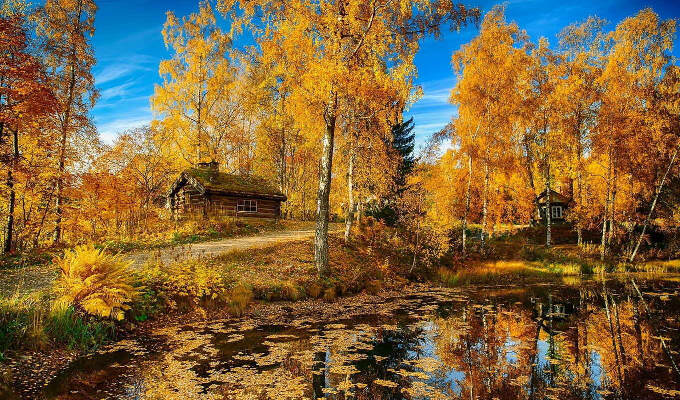 природа, лес, осень, осени, пруд, норвегия, красиво, домики
