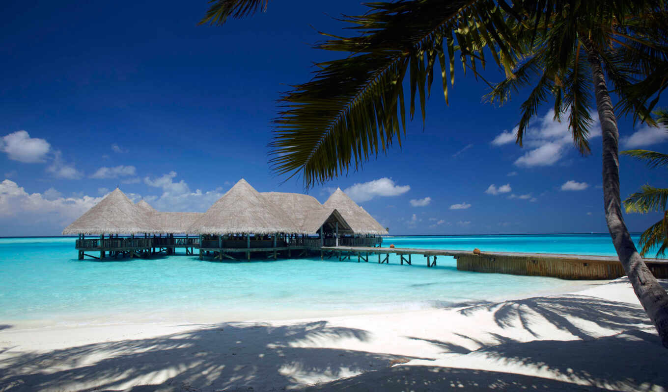 picture, beach, hotel, sea, villa, island, palm, please, bungal, oil, borabor