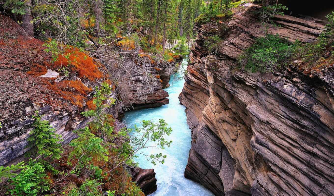 природа, дерево, rock, осень, пасть, park, река, водопад, national, jasper, athabasca