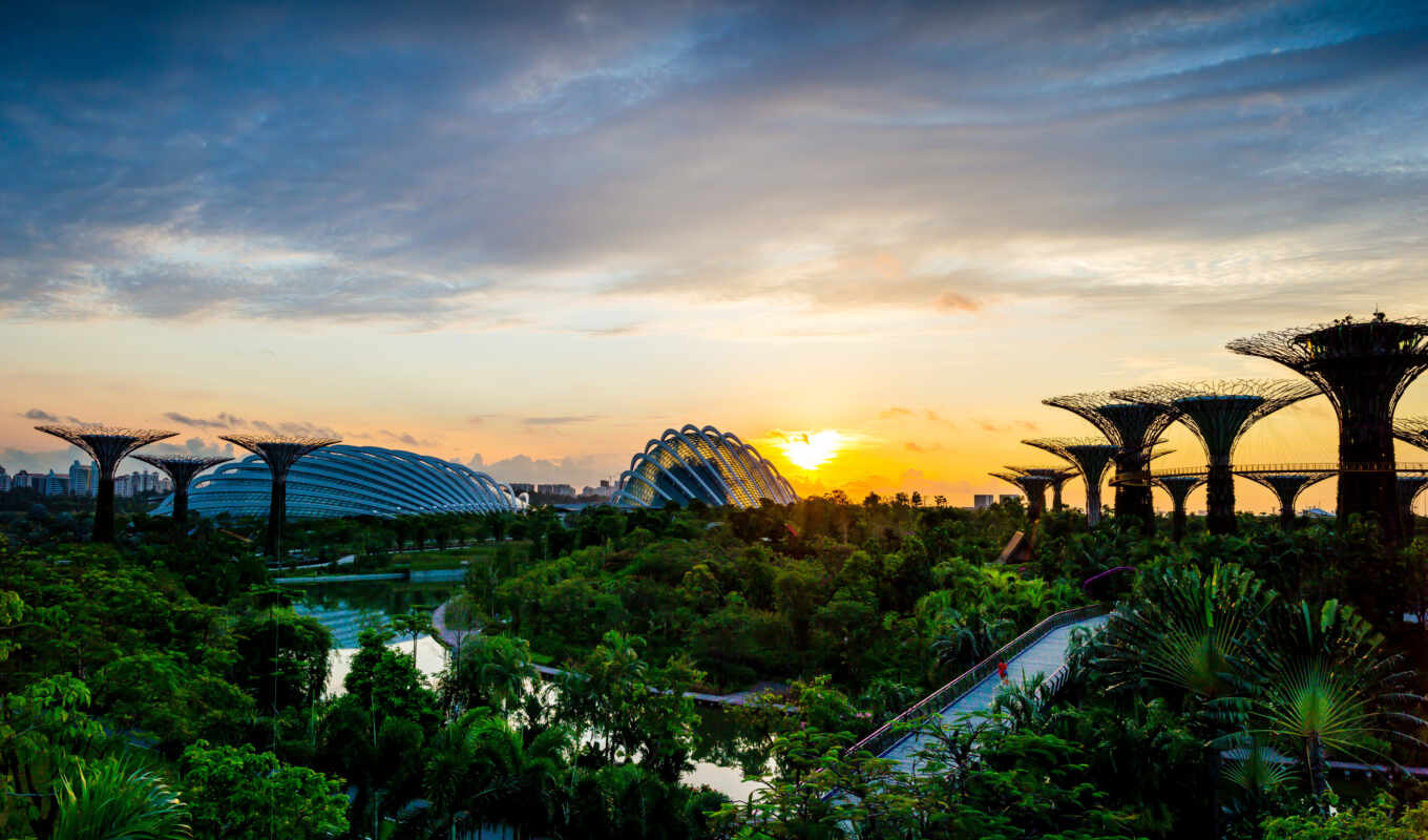 nature, sky, sunset, landscape, garden, bay, singapore, charity