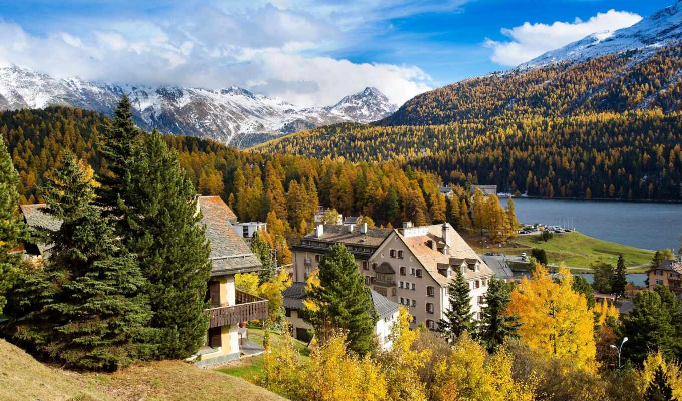 forest, mountain, swiss