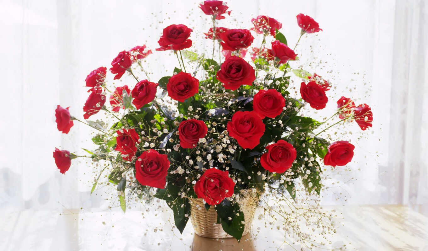 flowers, picture, birth, day, Internet, congratulation, pp, congratulate, branch, flora