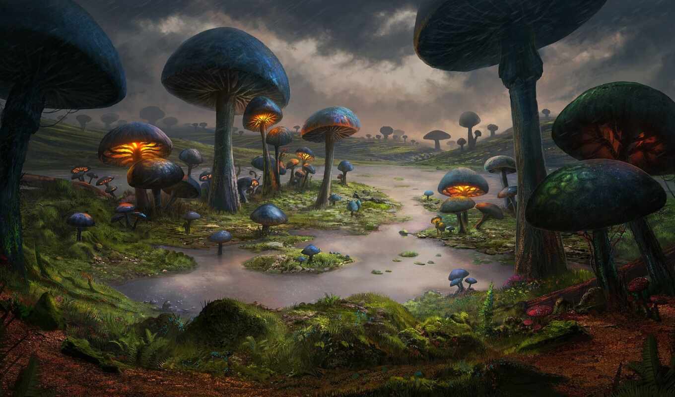 art, landscape, world, fantasy, moss, puzzle, swamp, mushroom, Dominic, fore