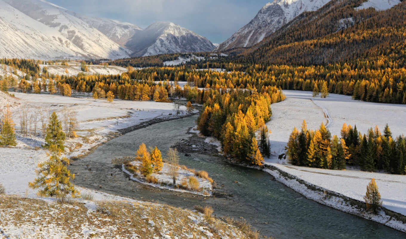 дерево, снег, winter, гора, река, алтай, pixabay