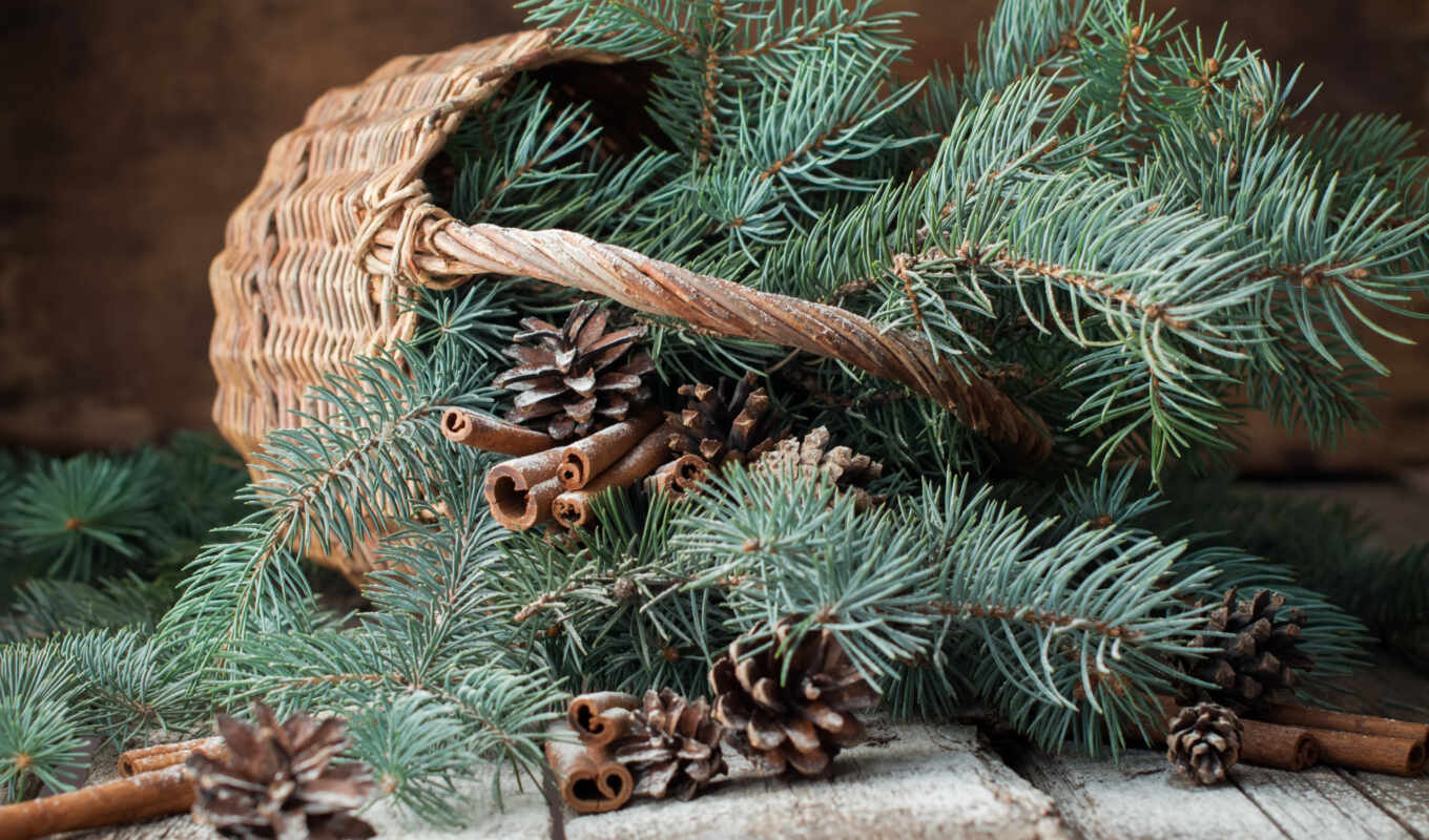new, christmas, branch, pine, basket, fir, cone, rare, Christmas tree