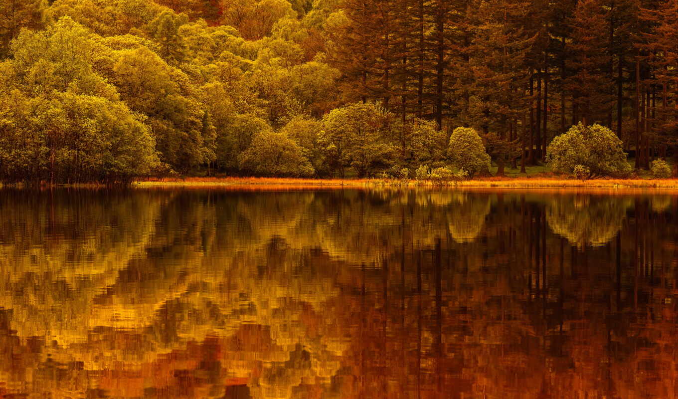 озеро, природа, лес, landscape, осень, trees