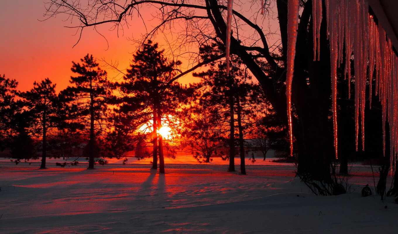 sun, закат, снег, winter, лес, вечер, trees, сосульки