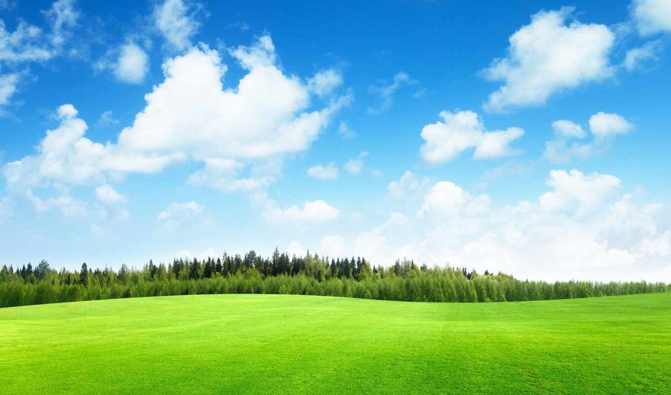 природа, небо, трава