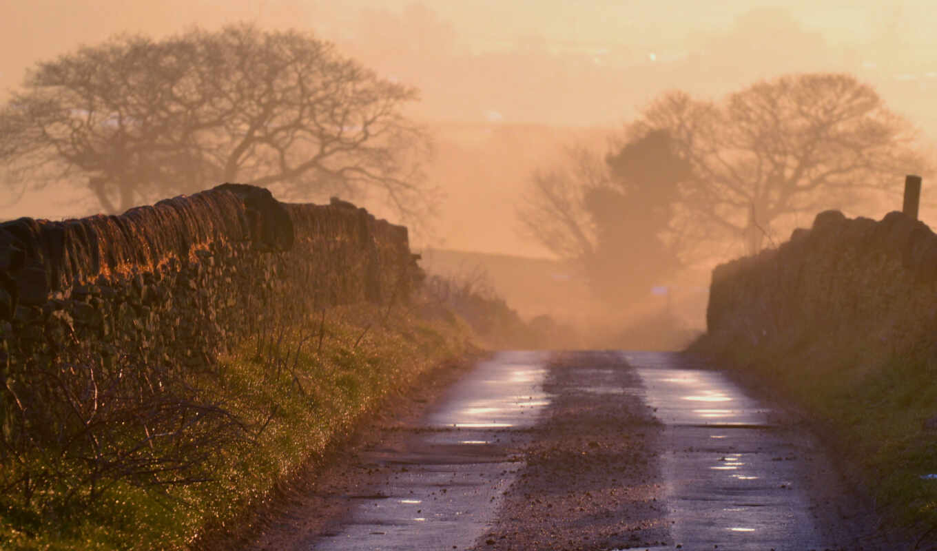 природа, дорога, утро, туман, wet, incredible, rural, moneta