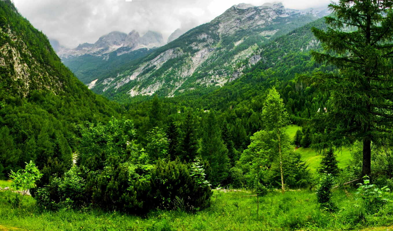 пейзажи -, лес, весна, природы, разных, slovenia, словении, горы, kugy, bovec