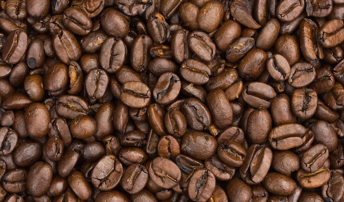 coffee, seed, kilogramm, zernyi, продать, зелёный, suggest, обт, grna, рубрика