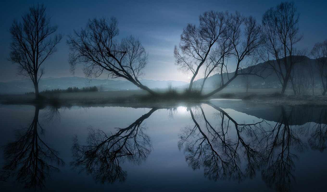 природа, коллекция, свет, дерево, ночь, water, landscape, отражение, natural