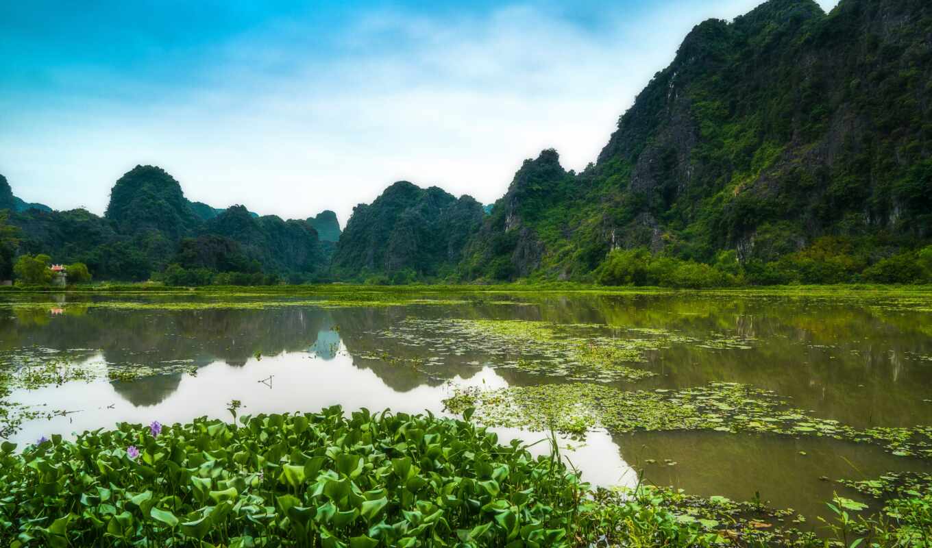 природа, гора, landscape, добавить, таиланд, лодка, natural, swamp, пожаловаться, кувшинка
