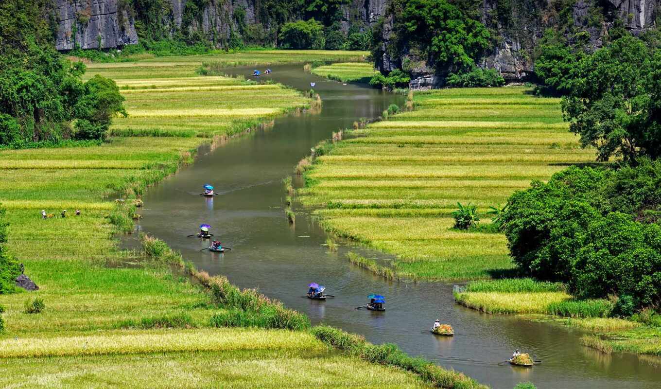 field, rice, river, float
