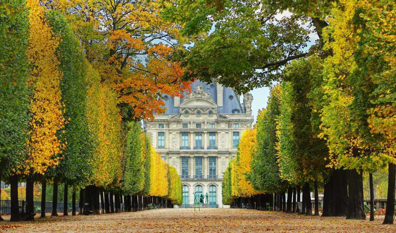 фото, garden, tuilerie