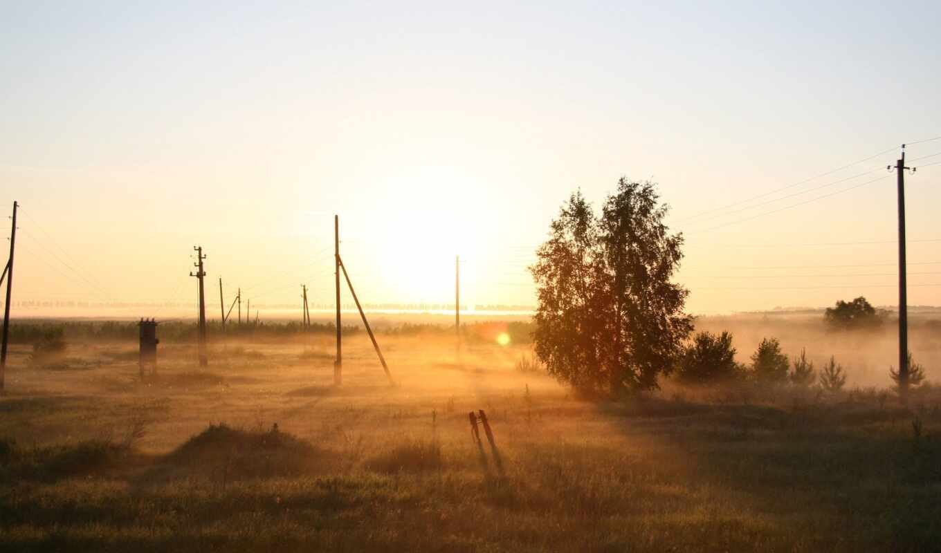 природа, дерево, russian, рассвет, поле, утро, туман