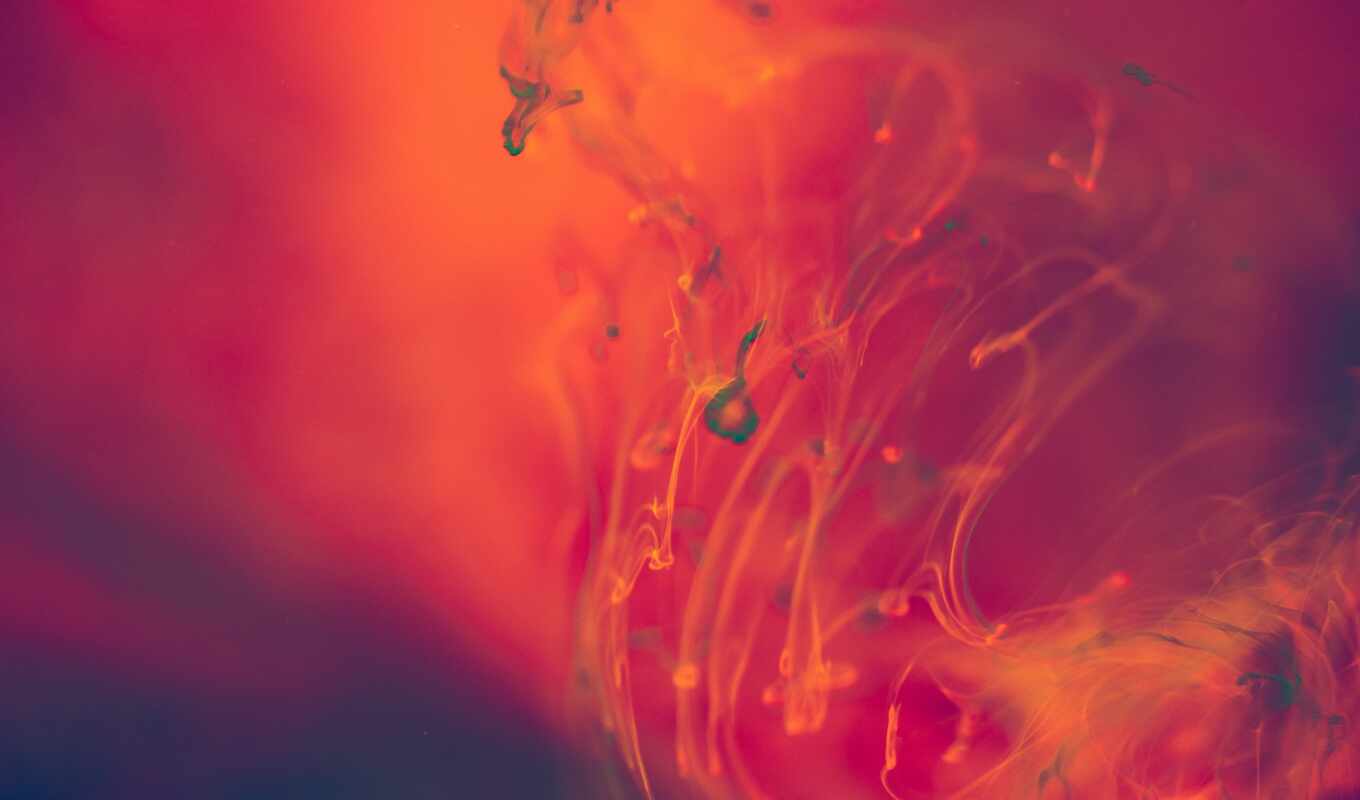 background, abstract, home, red, water, explosion, orange, color, liquid, amazon, mascara