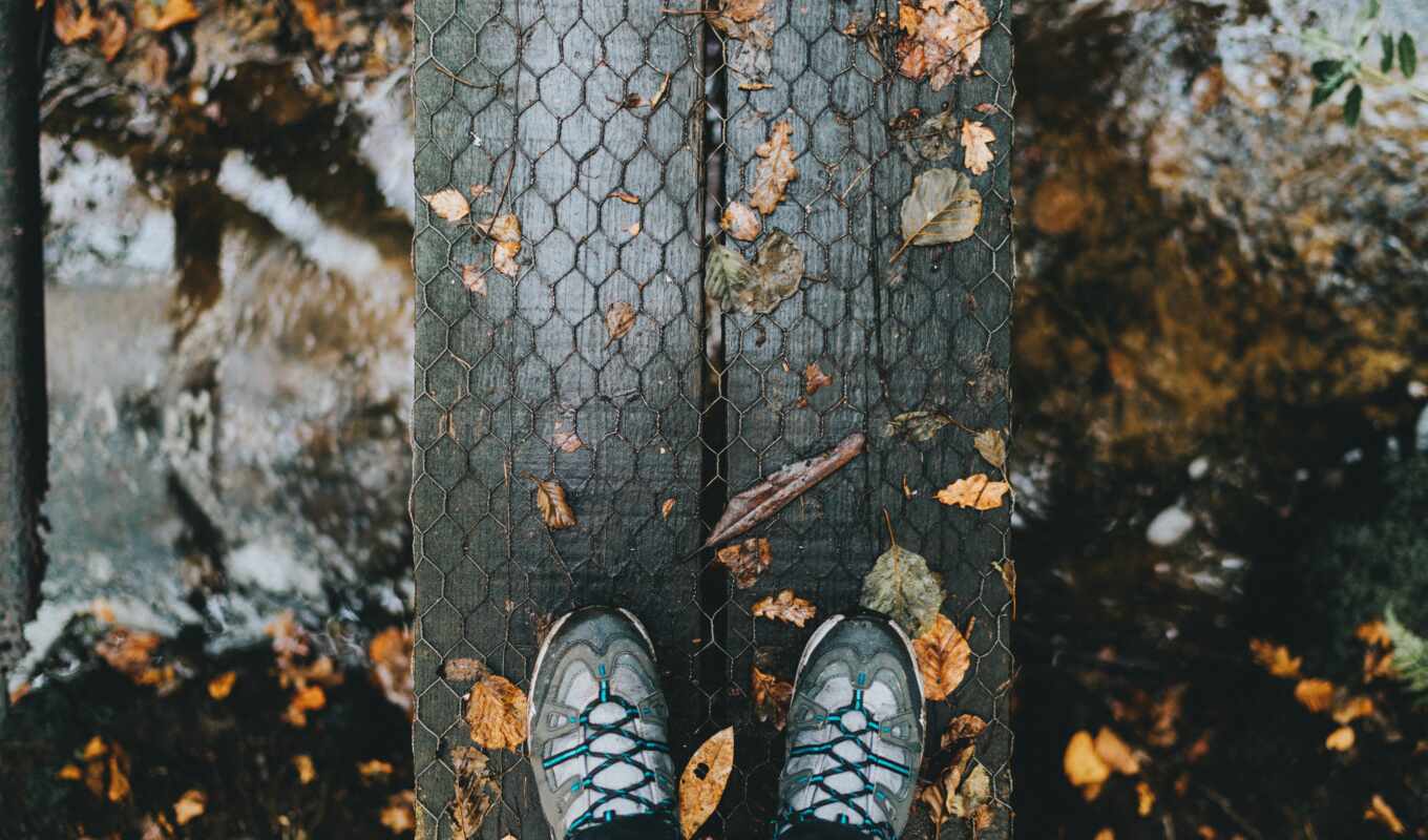 rain, walk, autumn, foliage, leg