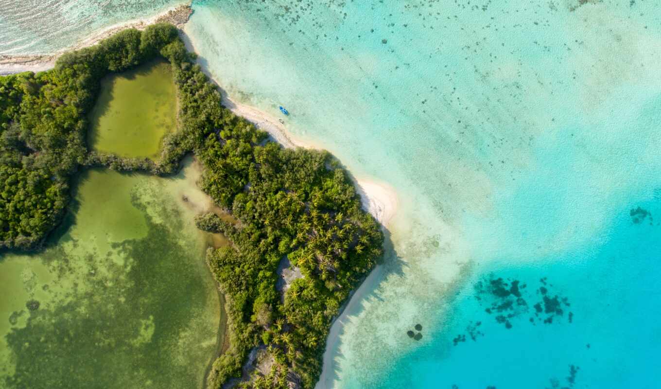 зелёный, остров, aerial, maldive