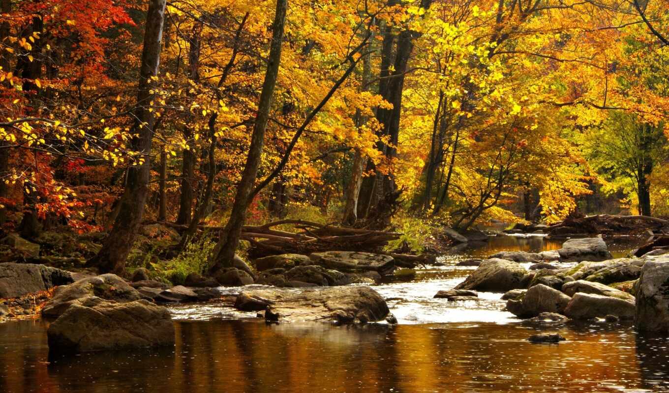 природа, water, осень, река, леса, деревя, камни, горы
