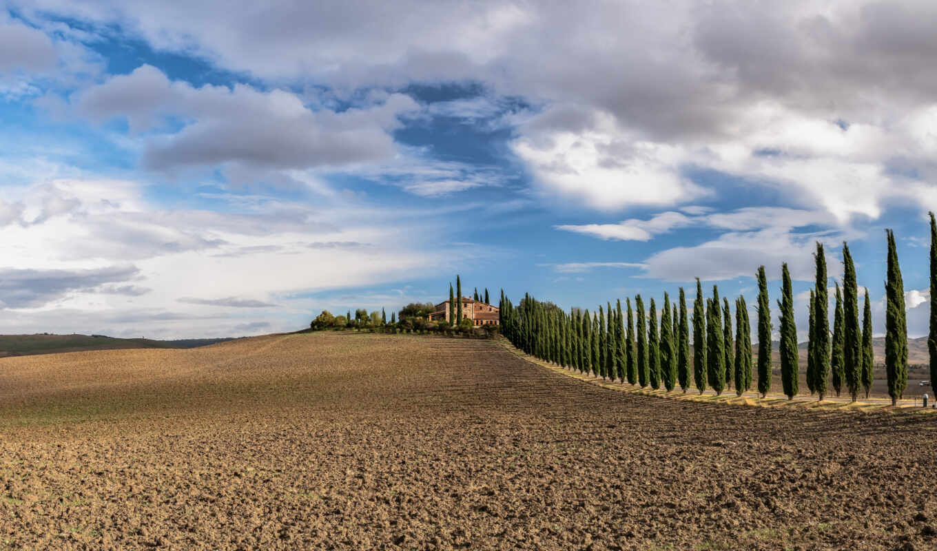 tree, field, landscape, subject matter, tapety, pulpit, italy, pole, tuscany, as-cus