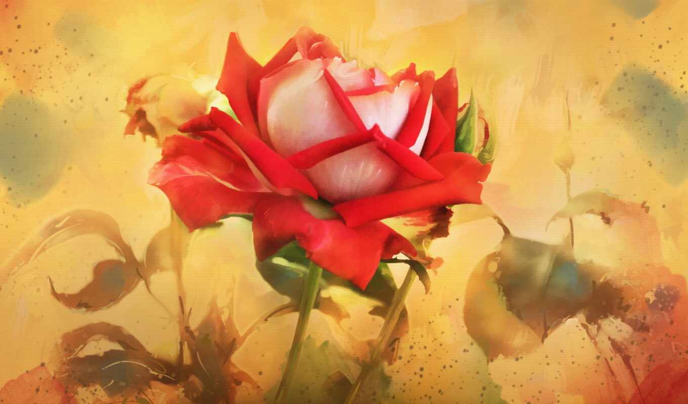 android, picture, picture, painting, roses, drawn, cvety