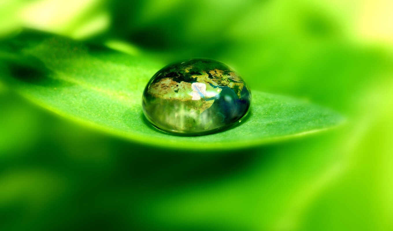 beautiful, a drop, dew