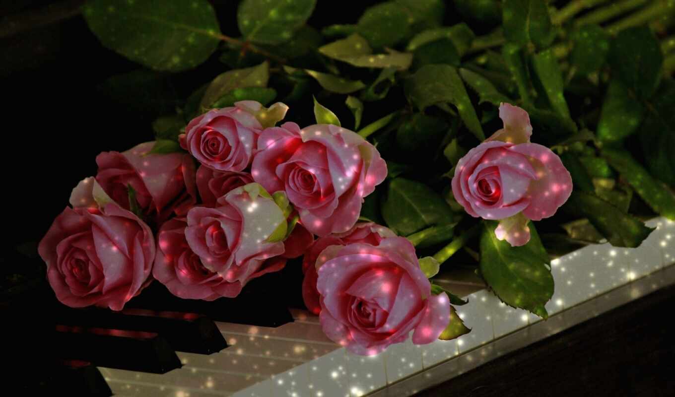 flowers, rose, calendar, day, february, bud, international, gullar