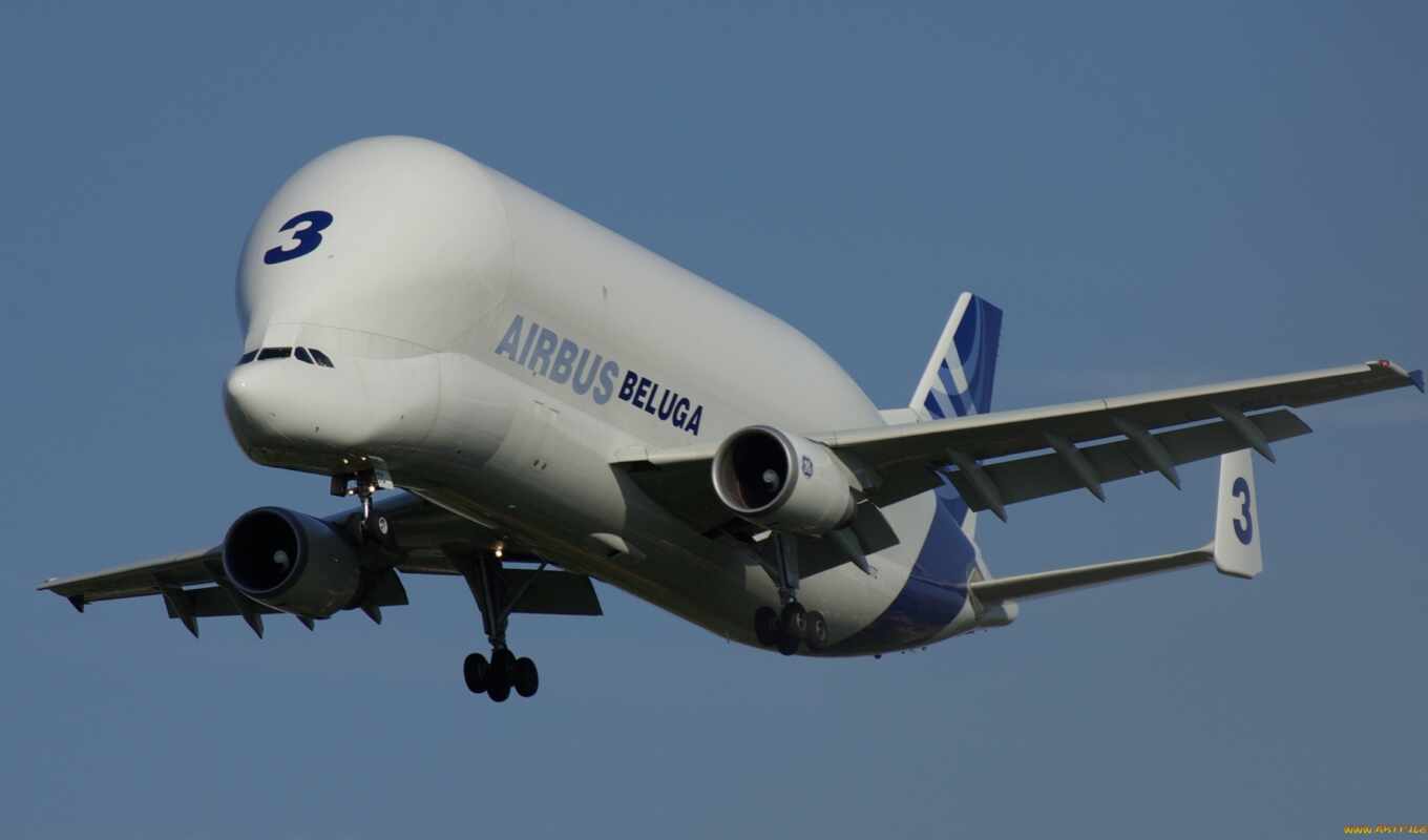 plane, name, airbus, giant, received, beluga, it's broken