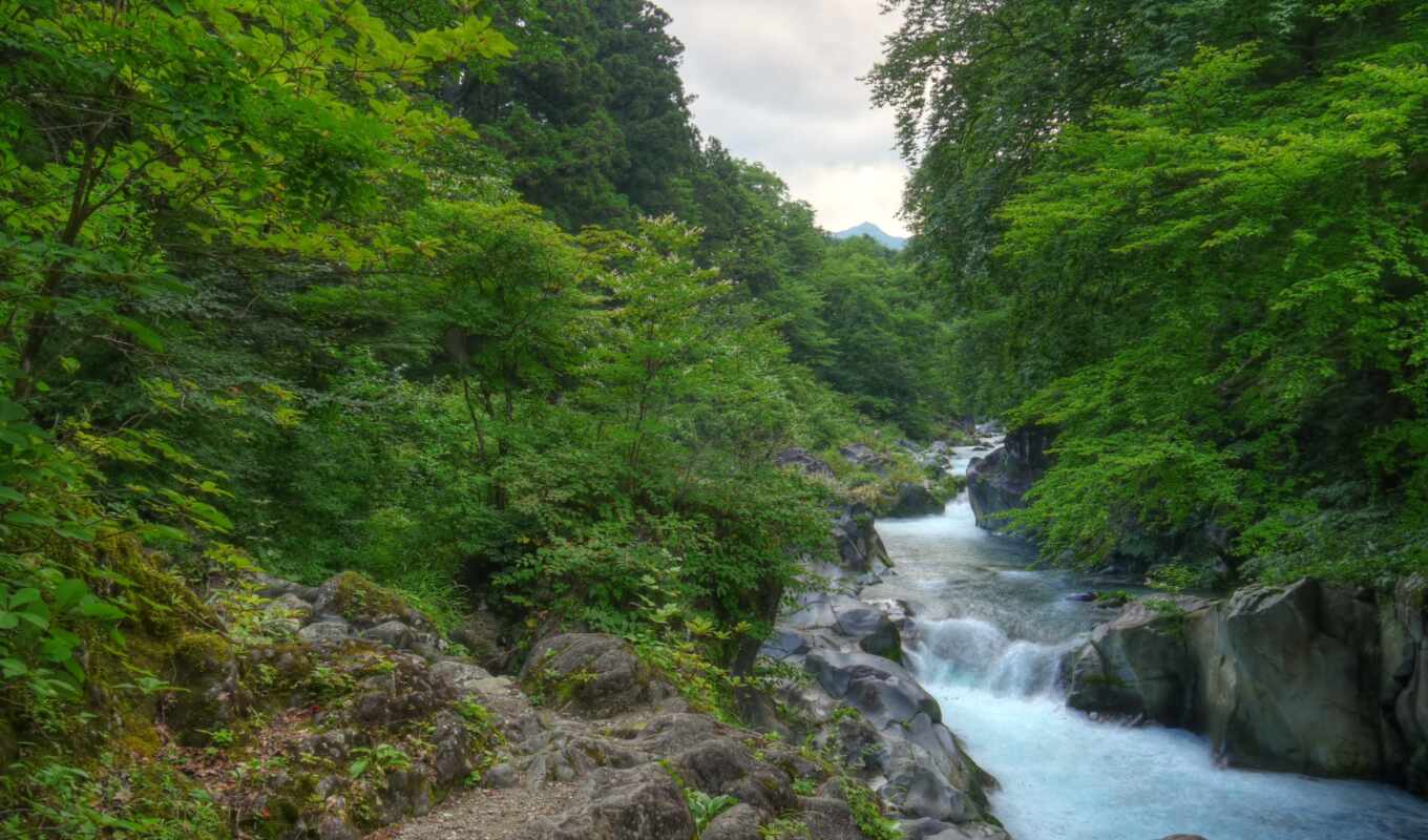 природа, фото, desktop, free, картинка, изображение, тематика, река, япония, леса