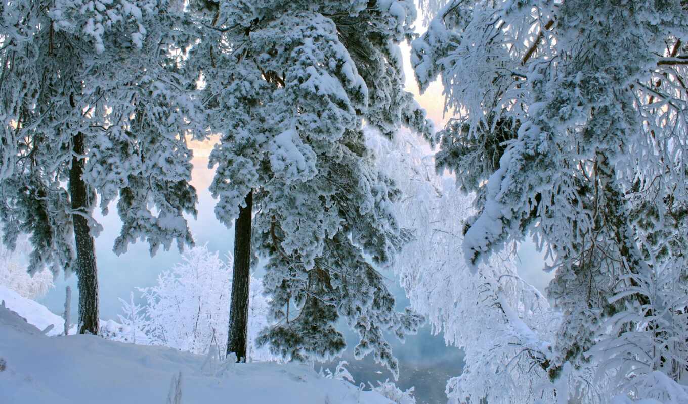 природа, высокого, снег, красивые, winter, года, time, trees