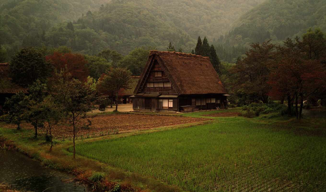 природа, трава, лес, landscape, japanese, деревня, hill, японская, японии, кабина, горы