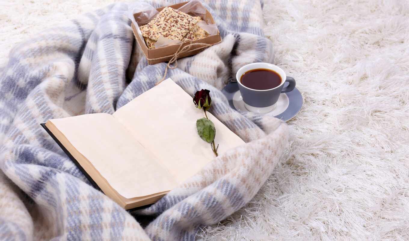роза, coffee, книга, биг, different, daily, совершенный, отдых, красивый